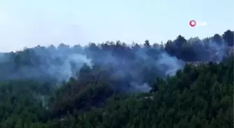 Mersin'de orman yangını