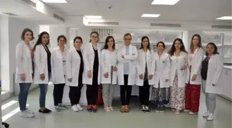 Klonlama yöntemi ile bir yapraktan binlerce ağaç üretiliyor