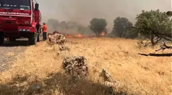 Mardin'de Süryanilerin yaşadığı köylere yakın dağda yangın