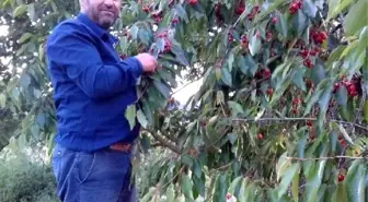 Mahalle meydanında 'tarla' kavgası: 1 ölü, 1 yaralı