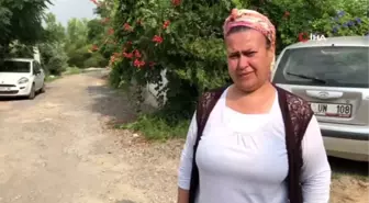 İskenderun'da boynuna kavanoz parçası takılan kediyi vatandaş kedi sesiyle aradı