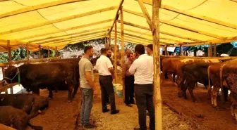 Kurban Bayramı için hayvan pazarında gerekli tedbirler alındı