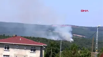 İSTANBUL-PENDİK'TE ORMAN YANGINI