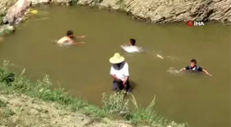 Koyunların yıkandığı gölette çocuklar da yüzdü..Renkli görüntüler böyle görüntülendi