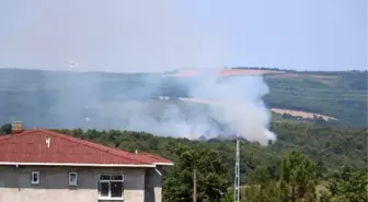 Pendik'te orman yangını