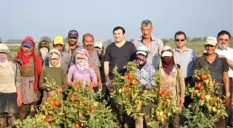 Tire Kaymakamı Tarıseven'den mevsimlik işçilere ziyaret