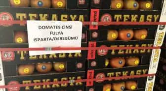 Isparta'dan 3 ülkeye 521 tonluk domates ihracatı