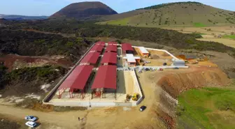 Kula'nın Modern Hayvan Pazarı, Kurban Bayramı'na Hazırlanıyor