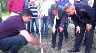 Ağrı'da iki yılda 126 bin ağaç dikildi