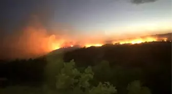 Elazığ'da orman yangını