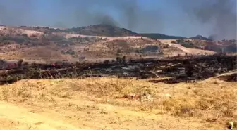 Foça'da 4 hektar makilik alan yandı