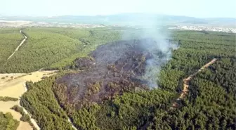 İzmir'de orman yangını (2)