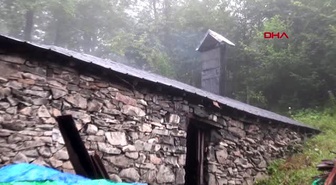 TRABZON ORMANDA TEK BAŞINA YAŞAYAN 'ROBİNSON NİNENİN' BAŞI AYILARLA DERTTE