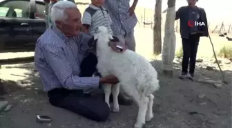 70'lik atlet doğal beslenerek gençlere taş çıkarıyor