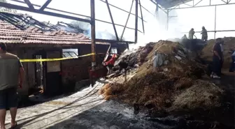 Arnavutköy'de feci olay: 11 büyükbaş hayvan yanarak telef oldu