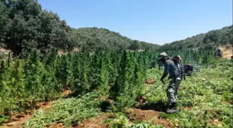 Diyarbakır'da terörün finans kaynağı kurutuldu