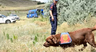 Kayıp katip kadavra ve iz takip köpekleriyle aranıyor