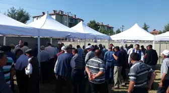 Afyonkarahisar'dan kısa kısa