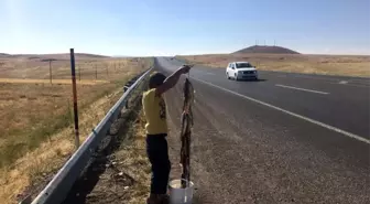 Derelerden tutup, yol kenarında satıyorlar