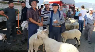 Tire Kurban Bayramı'na hazır