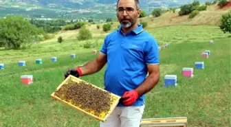 Tokat'ta haziran yağmurları, bal üretimini etkiledi