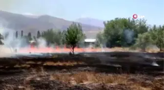 Anız yangınında 40 dönüm arazi yandı... Alevler yerleşim yerine varmadan söndürüldü