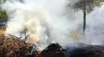 Bodrum'da çıkan orman yangınında alevler köylere ulaştı