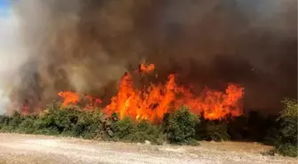 Çanakkale'de 70 dönümlük makilik alan kül oldu