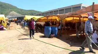 'Derin dondurucuları değil gönülleri dolduralım' - İZMİR