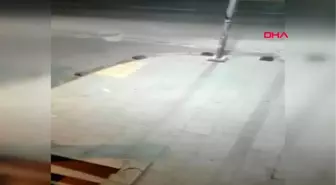 İSTANBUL- KÜMESE DADANAN SOKAK KÖPEĞİ KAMERADA