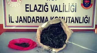 Jandarma ekipleri, uyuşturucu tacirini 2 kilo esrarla yakaladı