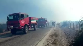 Makilik alanda çıkan yangın söndürüldü