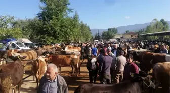 Tokat'ta kurbanlık satıcılarına sahte para uyarısı