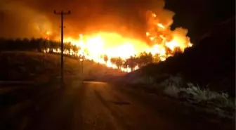 Antalya'da orman yangını