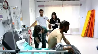 Ayı saldırısında yaralandı, helikopterle hastaneye kaldırıldı