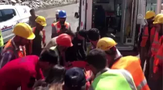 Ayının saldırısına uğrayan çoban kayalıklara düşerek yaralandı