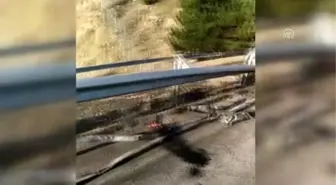 Bariyerlere çarpan süt tankeri yandı