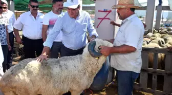 Başkan Dündar, kurban pazarını gezdi