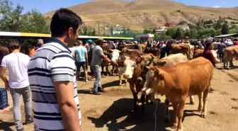 Bayburt'ta Kurban Bayramı heyecanı