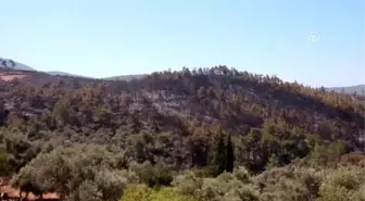 Bodrum'daki orman yangınından etkilenen vatandaşlar yaşadıklarını anlattı