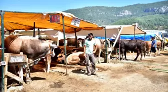 Bornova'da Bayram önlemleri tamam