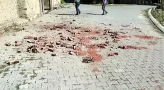 Depremden etkilenen Tutluca mahallesindeki hasarlı evler