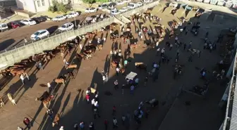 Diyarbakır'da kurbanlık hareketliliği başladı