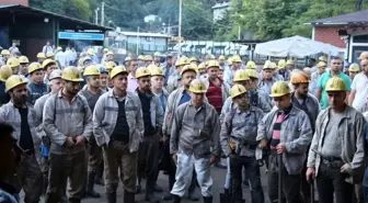 GMİS, Gelik'te madenciyi bilgilendirdi