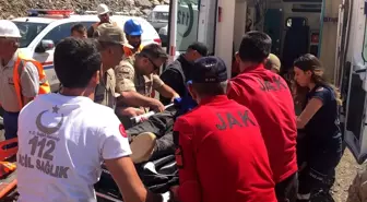 Kars'ta ayının saldırısına uğrayan çoban kayalıklara düşerek yaralandı
