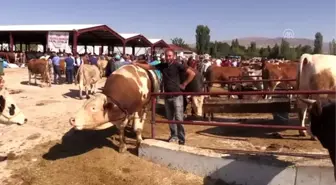 Kurban Bayramı'na doğru