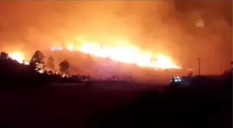 Manavgat'ta orman yangını