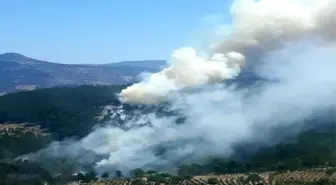 Mersin'de bir orman yangını daha