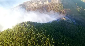 Mersin'de orman yangını