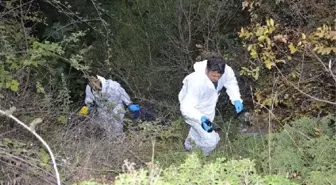 Ormanda toprağa gömülü ceset bulundu, 2 kişi tutuklandı